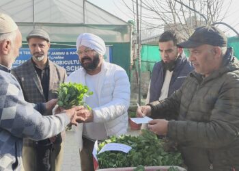 Joint Director Agriculture Inputs inaugurates sale of Vegetable Seedlings at Kitchen Garden Lalmandi