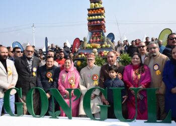 Technology, organic farming key to boosting rural economy: CM Omar