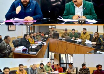 Poonch: DLIC approves 153 cases under Mission YUVA