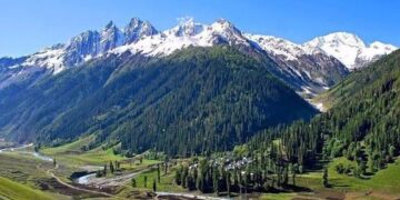 NGT gets brown bear protection update from SDA