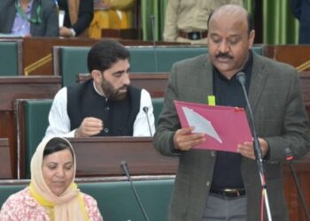 BRO to take up blacktopping of Sua- Pargwal road: Deputy Chief Minister