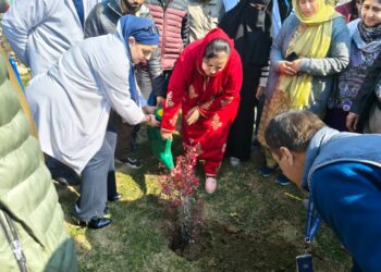 Sakeena Itoo leads plantation drive at DH Ganderbal to promote eco-friendly healthcare
