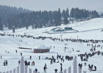 Over 95% of visitors are domestic: Dir Tourism Kashmir
