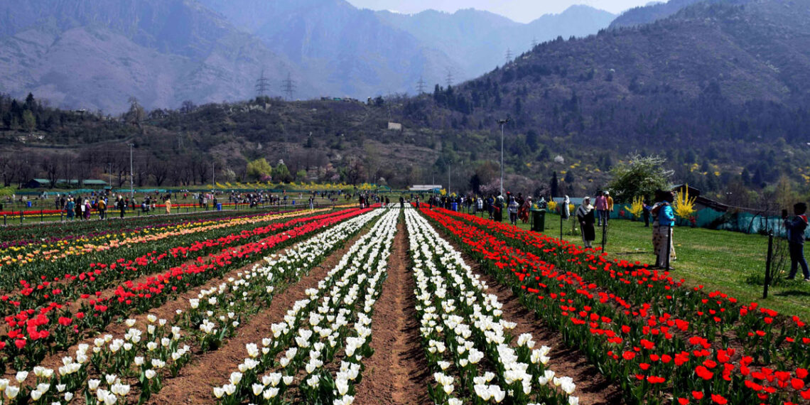 ‘Tulip garden likely to open by March 15’