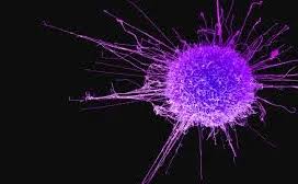 Nearly 10,000 cancer patients registered at GMC Sgr since 2017