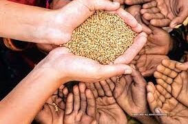 From The Parliament : J&K gets 4.5 lakh MT food grains annually: GoI