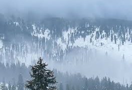 Fresh snowfall in higher reaches, rain in plains