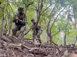 3 terrorists killed in Udhampur, Kishtwar encounters