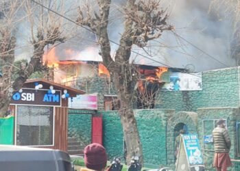 Fire guts Fisheries Dept structure at Nehru Park