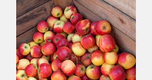 Legislators seek apple industry safeguards amid trade talks