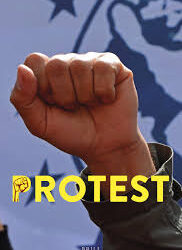 NC MLAs stage protest over statehood, harassment issues