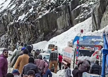 Avalanche hits Zojila; 5 dead, 7 injured Rescue operation underway
