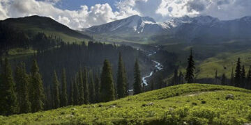 ‘SMGS hospital to get MRI facility soon’