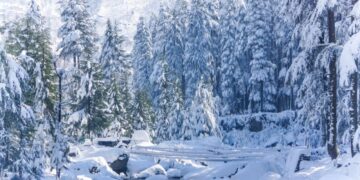 Fresh snowfall cheers Gulmarg visitors