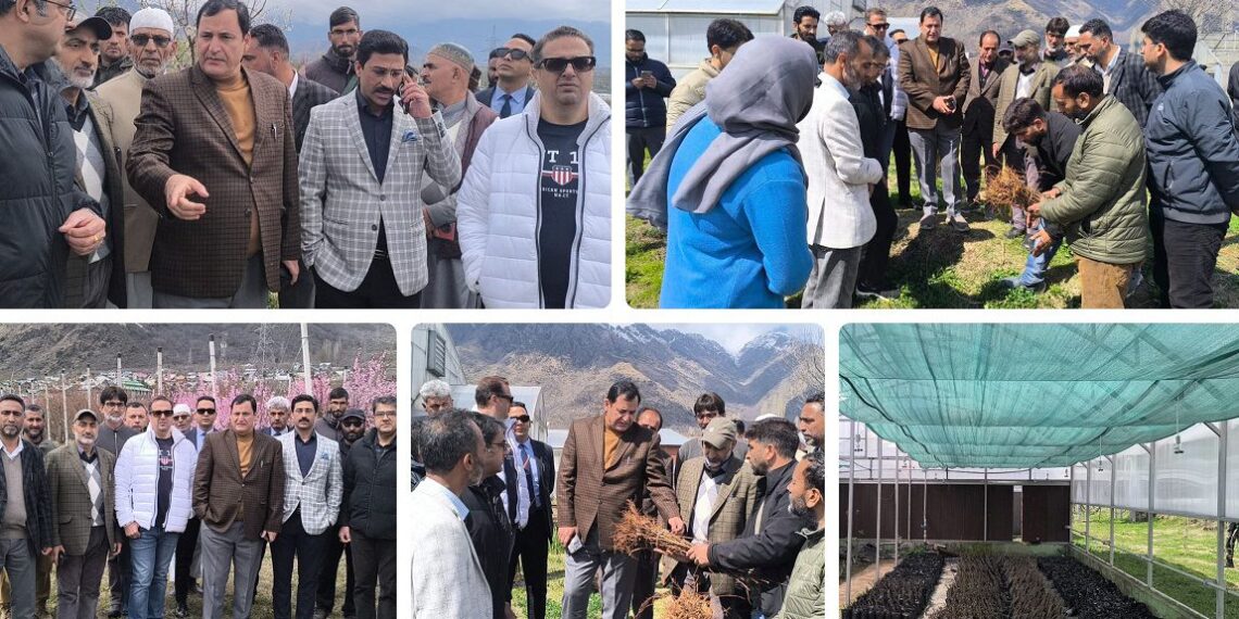 Javid Dar calls for research-based practices to boost horticulture sector 