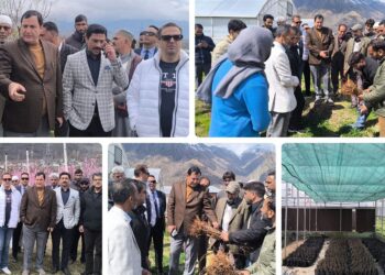 Javid Dar calls for research-based practices to boost horticulture sector 