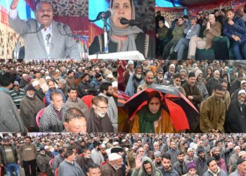 Deputy CM visits DH Pora Kulgam