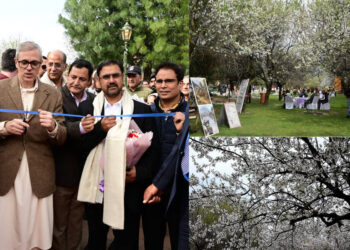 ‘Almond Blossom’ festival reflects Kashmir’s heritage, spirit of renewal: CM Omar