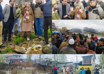DC Bandipora reviews Semi Ring Road works at Sumbal