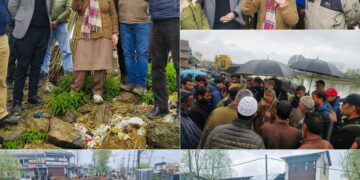 DC Bandipora reviews Semi Ring Road works at Sumbal