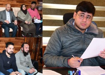 Mission Yuva: DC Ganderbal chairs DLIC meeting, approves 224 cases