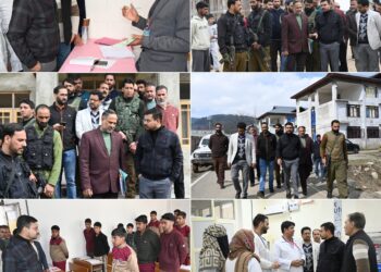 DC Kulgam reviews functioning of EMRS Tangmarg