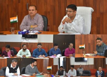 Mission YUVA: DC Reasi approves 311 cases under