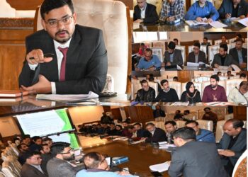 DDC Kulgam chairs DLRC Meeting
