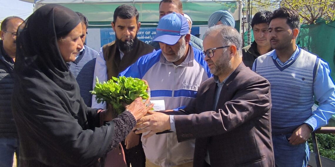 Director Agriculture Kashmir inaugurates vegetable seedling distribution drive
