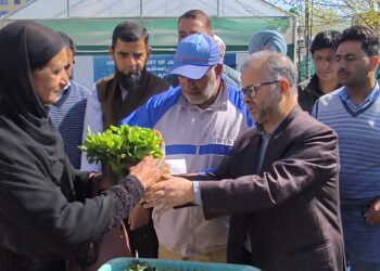 Director Agriculture Kashmir inaugurates vegetable seedling distribution drive