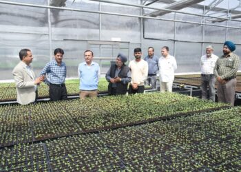 Director Agriculture reviews works of Centre of Excellence at Krishi Bhawan, Jammu