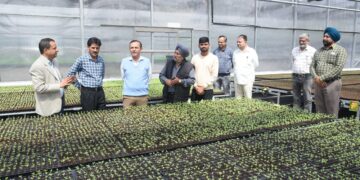 Director Agriculture reviews works of Centre of Excellence at Krishi Bhawan, Jammu