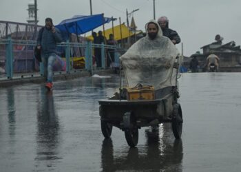 Rains, snow end prolonged dry spell in Kashmir