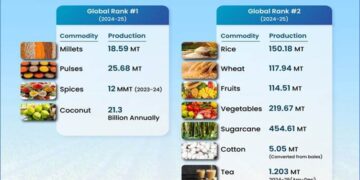 India’s Agricultural Transformation: Record Output, Rising Exports, And Global Leadership