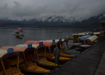 Colorful Shikara boats docked on Dal Lake under a moody, cloudy sky