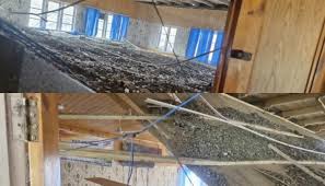 Ceiling collapses during drug awareness programme