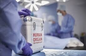 World Kidney Day : Only 5% of kidney patients get transplant