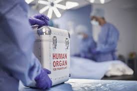 World Kidney Day : Only 5% of kidney patients get transplant