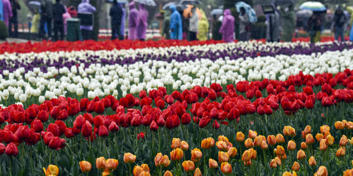 Tulip Garden to be shut for public on Apr-16