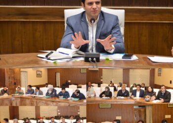 DC Budgam reviews developmental projects,  key public issues of sub-division Beerwah