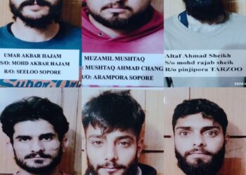 Six detained under PSA after Sopore protest violence