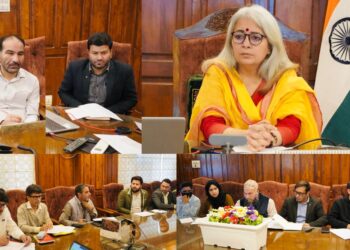 DC Bandipora reviews progress of Panchayat Electoral Roll Revision; Stresses Transparency, Saturation