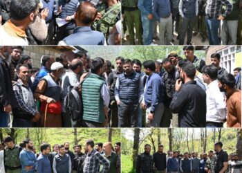 DC Kulgam visits Nandimarg, reviews progress of road projects