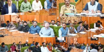 DC Shopian chairs DLTC meeting