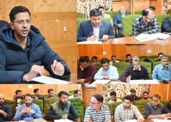 DC Shopian reviews progress under PM Surya Ghar, RDSS