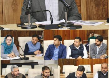 DC Srinagar assesses I&FC projects progress
