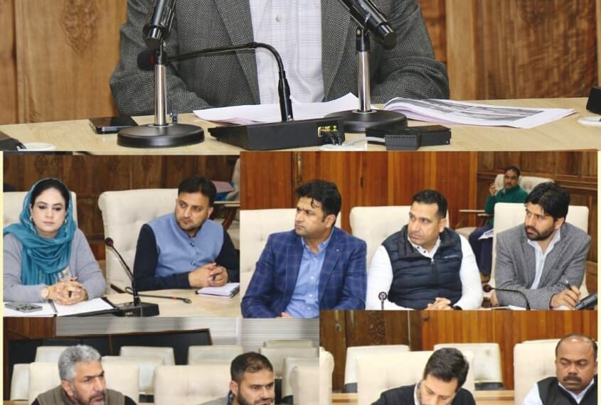 DC Srinagar assesses I&FC projects progress
