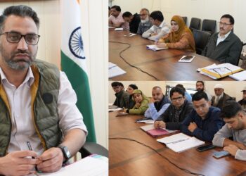 DLTC Meeting stresses timely completion of connectivity works in Ganderbal