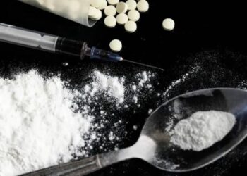 Enforcement alone won’t tackle drug menace; families, society must play central role: Experts