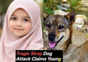 Girl dies after stray dog attack in Sopore